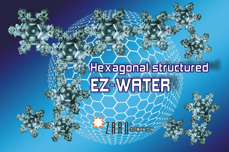 EZ-Water, die Exklusionszone im Wasser und der vierte Aggregatzustand Wassers